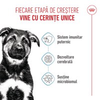 ROYAL CANIN Maxi Puppy, hrană uscată câini junior, 1kg - 4