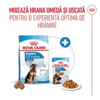 ROYAL CANIN Maxi Puppy, hrană uscată câini junior, 3kg - 10