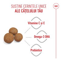 ROYAL CANIN Maxi Puppy, hrană uscată câini junior, 3kg - 5