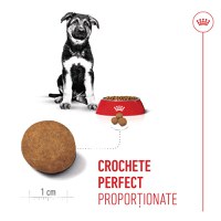 ROYAL CANIN Maxi Puppy, hrană uscată câini junior, 3kg - 6