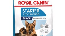 ROYAL CANIN Maxi Starter Mother & Babydog, mama și puiul, hrană uscată câini, 15kg