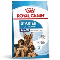 ROYAL CANIN Maxi Starter Mother & Babydog, mama și puiul, hrană uscată câini, 15kg - 2