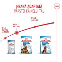 ROYAL CANIN Maxi Starter Mother & Babydog, mama și puiul, hrană uscată câini, 4kg - 11