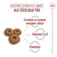 ROYAL CANIN Maxi Starter Mother & Babydog, mama și puiul, hrană uscată câini, 4kg - 5