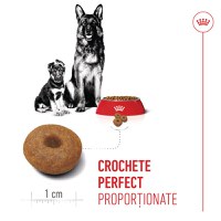ROYAL CANIN Maxi Starter Mother & Babydog, mama și puiul, hrană uscată câini, 4kg - 6