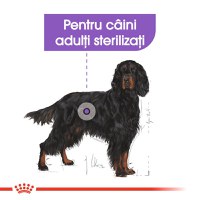 ROYAL CANIN Maxi Sterilised Adult hrană uscată câini sterilizați, 12kg - 4