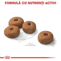 ROYAL CANIN Maxi Sterilised Adult hrană uscată câini sterilizați, 12kg - 6