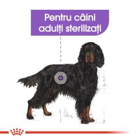 Royal Canin Maxi Sterilised Adult, hrană uscată câini sterilizați, 12kg - 6