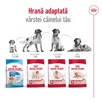 ROYAL CANIN Medium Adult, hrană uscată câini, 3kg - 11