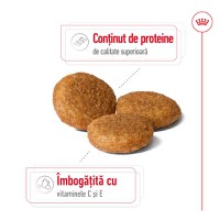 ROYAL CANIN Medium Adult, hrană uscată câini, 3kg - 4