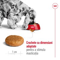 ROYAL CANIN Medium Adult, hrană uscată câini, 3kg - 5