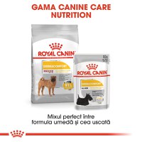 ROYAL CANIN Medium Dermacomfort, hrană uscată câini, prevenirea iritațiilor pielii, 3kg - 9