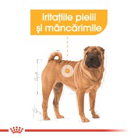ROYAL CANIN Medium Dermacomfort, hrană uscată câini, prevenirea iritațiilor pielii, 3kg - 4