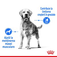 ROYAL CANIN Medium Light Weight Care Adult, hrană uscată câini, limitarea creșterii în greutate, 12kg - 4