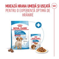 ROYAL CANIN Medium Puppy, hrană umedă câini junior, (în sos), 140g - 8