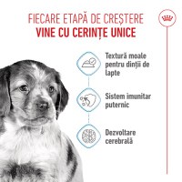 ROYAL CANIN Medium Puppy, hrană umedă câini junior, (în sos), 140g - 4