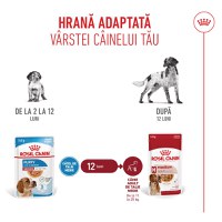 ROYAL CANIN Medium Puppy, hrană umedă câini junior, (în sos), bax, 140g x 10buc - 9
