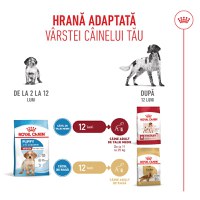 ROYAL CANIN Medium Puppy, hrană uscată câini junior, 12kg - 11