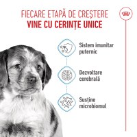 ROYAL CANIN Medium Puppy, hrană uscată câini junior, 1kg - 4