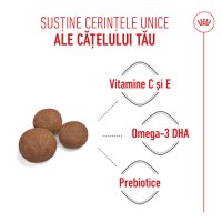 ROYAL CANIN Medium Puppy, hrană uscată câini junior, 1kg - 5
