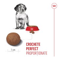 ROYAL CANIN Medium Puppy, hrană uscată câini junior, 1kg - 6