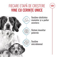 ROYAL CANIN Medium Starter Mother & Babydog, mama și puiul, hrană uscată câini, 4kg - 4