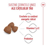 ROYAL CANIN Medium Starter Mother & Babydog, mama și puiul, hrană uscată câini, 4kg - 5