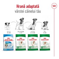 ROYAL CANIN Mini Adult 8+, hrană uscată câini, 2kg - 11