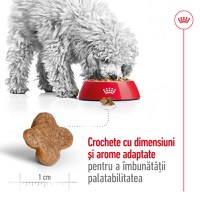 ROYAL CANIN Mini Adult 8+, hrană uscată câini, 2kg - 5