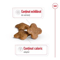 ROYAL CANIN Mini Adult 8+, hrană uscată câini, 8kg - 4