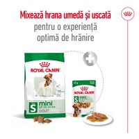 ROYAL CANIN Mini Adult, hrană uscată câini, 4kg - 9