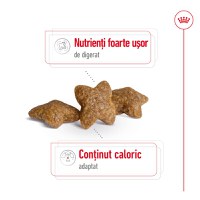 ROYAL CANIN Mini Adult, hrană uscată câini, 4kg - 4