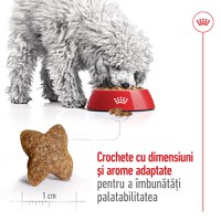 ROYAL CANIN Mini Adult, hrană uscată câini, 4kg - 5
