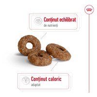 ROYAL CANIN Mini Ageing 12+, hrană uscată câini senior, 1.5kg - 4