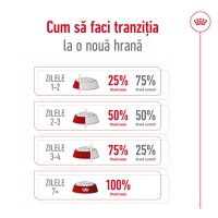 ROYAL CANIN Mini Ageing 12+, hrană uscată câini senior, 1.5kg - 8
