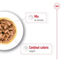 ROYAL CANIN Mini Ageing, hrană umedă câini senior, (în sos), bax, 85g x 12buc - 4