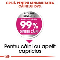 ROYAL CANIN Mini Exigent, hrană uscată câini, apetit capricios, 3kg - 5