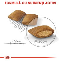 ROYAL CANIN Mini Exigent, hrană uscată câini, apetit capricios, 3kg - 6