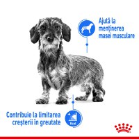 ROYAL CANIN Mini Light Weight Care Adult, hrană uscată câini, limitarea creșterii în greutate, 1kg - 4