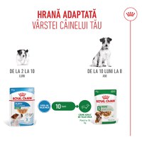 ROYAL CANIN Mini Puppy, hrană umedă câini junior, (în sos), 85g - 8