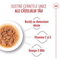 ROYAL CANIN Mini Puppy, hrană umedă câini junior, (în sos), 85g - 5