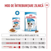 ROYAL CANIN Mini Puppy, hrană umedă câini junior, (în sos), 85g - 7