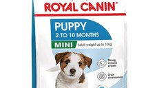 ROYAL CANIN Mini Puppy, hrană uscată câini junior, 800g