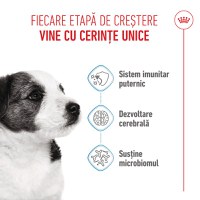 ROYAL CANIN Mini Puppy, hrană uscată câini junior, 800g - 4