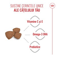 ROYAL CANIN Mini Puppy, hrană uscată câini junior, 800g - 5