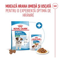 ROYAL CANIN Mini Puppy, hrană uscată câini junior, 8kg - 10