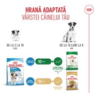 ROYAL CANIN Mini Puppy, hrană uscată câini junior, 8kg - 11