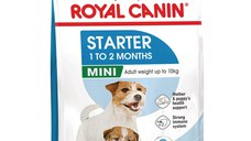 ROYAL CANIN Mini Starter Mother & Babydog, mama și puiul, hrană uscată câini, 8kg