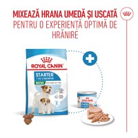 ROYAL CANIN Mini Starter Mother & Babydog, mama și puiul, hrană uscată câini, 8kg - 10