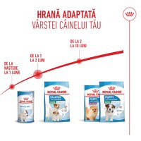 ROYAL CANIN Mini Starter Mother & Babydog, mama și puiul, hrană uscată câini, 8kg - 11